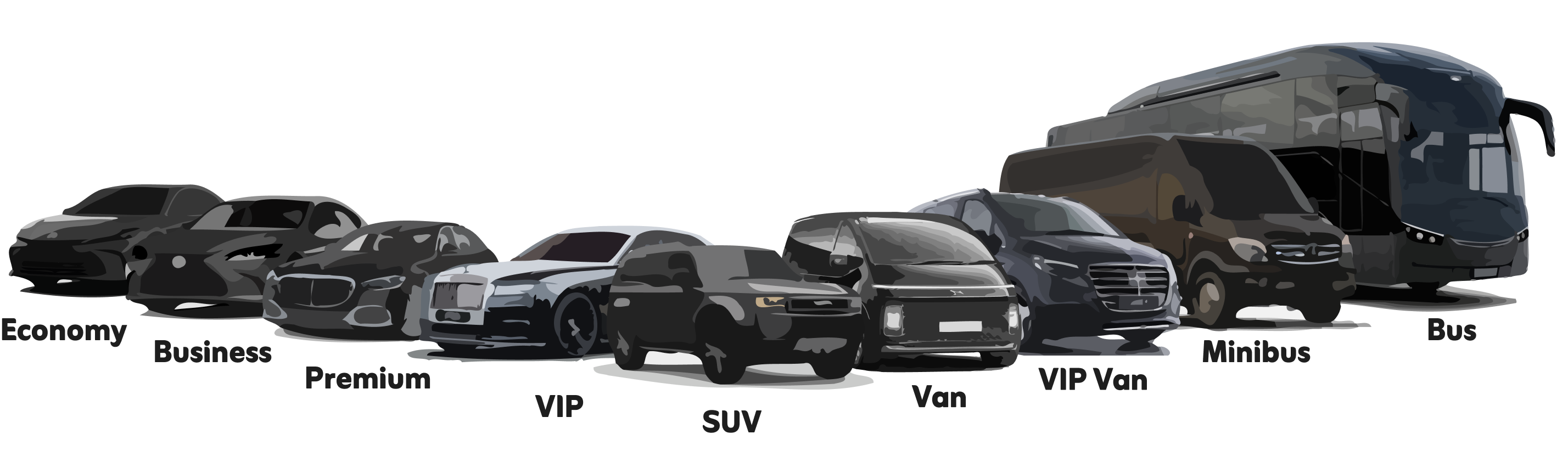 vehicle lineup
